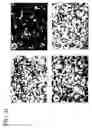 Fig. 06 - CRYSTAL STRUCTURE OF THE HEPATOCYTE GROWTH FACTOR AND METHODS OF USE