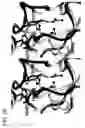 Fig. 10 - CRYSTAL STRUCTURE OF THE HEPATOCYTE GROWTH FACTOR AND METHODS OF USE