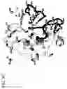 Fig. 11 - CRYSTAL STRUCTURE OF THE HEPATOCYTE GROWTH FACTOR AND METHODS OF USE