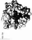Fig. 12 - CRYSTAL STRUCTURE OF THE HEPATOCYTE GROWTH FACTOR AND METHODS OF USE