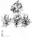 Fig. 13 - CRYSTAL STRUCTURE OF THE HEPATOCYTE GROWTH FACTOR AND METHODS OF USE