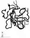 Fig. 15 - CRYSTAL STRUCTURE OF THE HEPATOCYTE GROWTH FACTOR AND METHODS OF USE