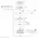 Fig. 01 - Apparatus and Method to Syncronously Decode a Stenographic Input into Two or More Different Language Streaming Text Outputs