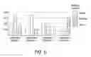 Fig. 07 - AUTOMATED DATA MANAGEMENT FOR PERFORMANCE REPORTS