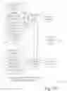 Fig. 10 - Human perception model for speed control performance