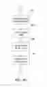 Fig. 14 - Method, system, and storage medium for providing web-based electronic research and presentation functions via a document creation application