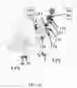 Fig. 11 - Application package to automatically identify some single stranded RNA viruses from characteristic residues of capsid protein or nucleotide sequences