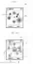 Fig. 03 - USER INTERFACE FORMING METHOD AND APPARATUS BASED ON HUMAN RELATIONS FOR MOBILE TERMINAL