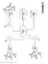 Fig. 10 - Method and System for Transforming and Delivering Video File Content for Mobile Devices