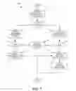 Fig. 06 - Determining and presenting communication device proximity information