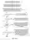 Fig. 05 - Management of carbon copy and reply to all functions of an email