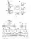 Fig. 03 - Developing diameter applications using diameter interface servlets