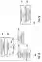 Fig. 13 - Document structures for delta handling in server pages
