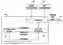 Fig. 01 - Random test generation using an optimization solver