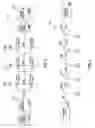 Fig. 03 - System and method for designing a low leakage monotonic CMOS logic circuit