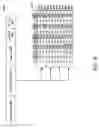 Fig. 19 - PCI EXPRESS ENHANCEMENTS AND EXTENSIONS
