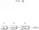 Fig. 05 - Method of linkage-viewing TV broadcasting program between mobile communication apparatus and digital TV, and mobile communication apparatus and digital TV thereof