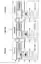 Fig. 17 - Display device and method, and program