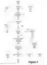 Fig. 03 - Credential delegation using identity assertion