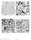 Fig. 04 - Refractory ceramic composite and method of making