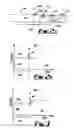 Fig. 03 - Deriving information about leaks in pipes