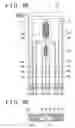 Fig. 04 - Intake air amount calculating system and method of internal combustion engine
