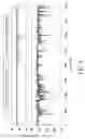 Fig. 06 - Internal Circulation Ball Screw