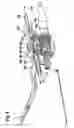 Fig. 05 - Lever arrangement and operating unit for handlebar-steered vehicles