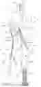 Fig. 06 - Locking pliers