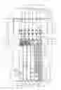 Fig. 01 - Stringed musical instrument