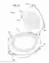 Fig. 27 - Cooking appliance