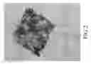 Fig. 03 - Antireflective transparent zeolite hardcoat, method for fabricating the same