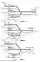 Fig. 16 - Vessels