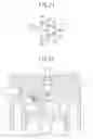 Fig. 13 - Direct Injection Internal Combustion Engine and Injector Used for Direct Injection Internal Combustion Engine