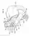 Fig. 18 - Medicament dispenser
