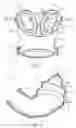 Fig. 03 - Nasal interface