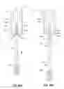 Fig. 26 - Cosmetic applicator with torque limiter