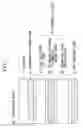 Fig. 02 - Photovoltaic device and process for producing same
