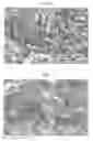 Fig. 09 - Photovoltaic device and process for producing same