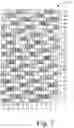 Fig. 12 - WEAR SIDE WEAVE PATTERN OF A COMPOSITE FORMING FABRIC