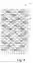 Fig. 16 - WEAR SIDE WEAVE PATTERN OF A COMPOSITE FORMING FABRIC