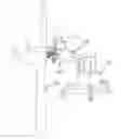 Fig. 01 - Tree pruning and trimming head