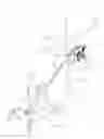 Fig. 03 - Tree pruning and trimming head