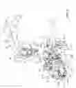 Fig. 04 - Tree pruning and trimming head
