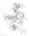 Fig. 05 - Tree pruning and trimming head