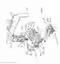 Fig. 23 - Tree pruning and trimming head