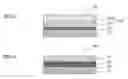Fig. 03 - OPTICAL ELEMENT AND METHOD FOR MANUFACTURING THE SAME