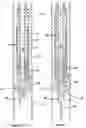 Fig. 03 - Electric submersible pump and motor assembly