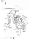 Fig. 12 - Tracked bicycle