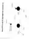Fig. 04 - Novel Bioassay System Using a Nanoparticle